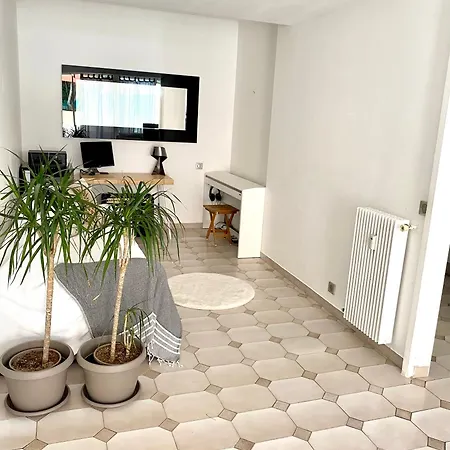 3p 88 M2 Terrasse Et Jardin A 20 Metres De La *